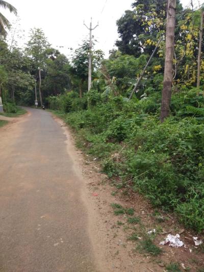 East Facing Plots In Nattianchira Thrissur 1 East Facing Land