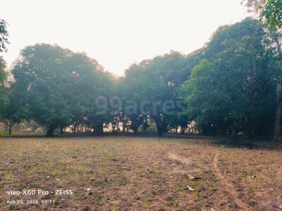 Agriculture Farm Land For Sale In Green Leaf Farm Acharapakkam