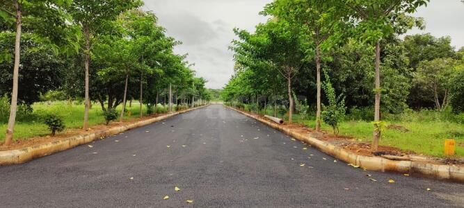 Residential Land Plot For Sale In Bheemili Visakhapatnam 167 Sq Yard