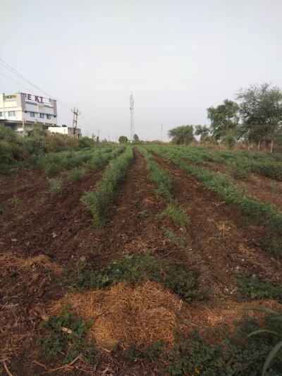 Page Plots For Sale In Gujarat Residential Land Plots In