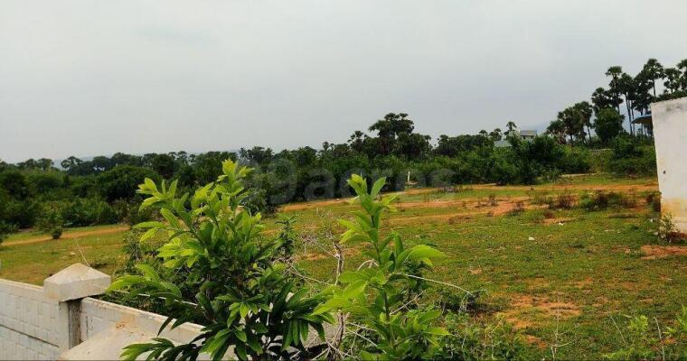 Residential Land Plot For Sale In Bheemili Visakhapatnam 399 Sq Yard