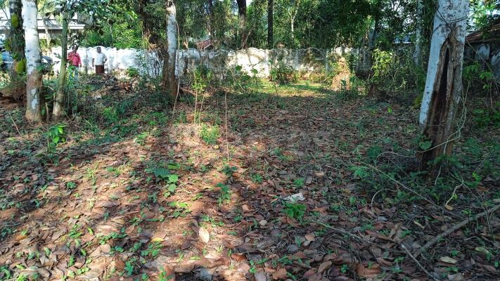 Residential Land Plot For Sale In Irinjalakuda Thrissur Sq Yard