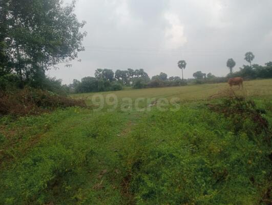 Agriculture Farm Land For Sale In Acharapakkam Chennai South