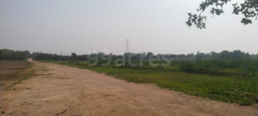 Residential Land Plot For Sale In Rudraram Hyderabad Sq Yard