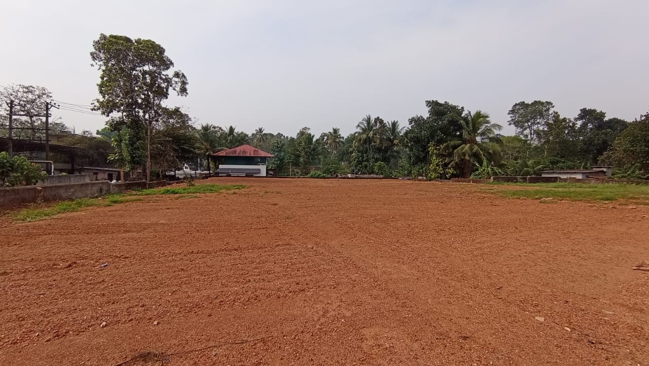 Freehold Plots in Changanacherry Kottayam Freehold Land / Plots for