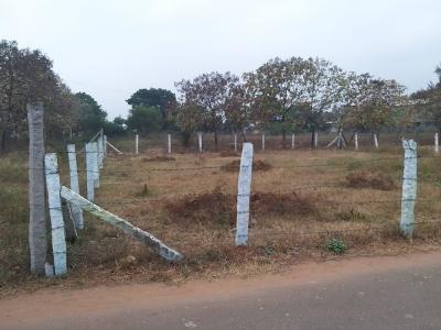 Property near Apm Sidha Hospital Cumbum theni Real Estate near