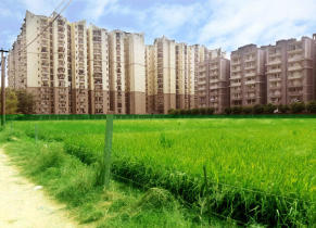 Raj Nagar Extension property rates