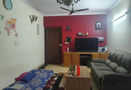 Dsr Spring Beauty Rent 6 Flats For Rent In Dsr Spring Beauty Aecs Layout Bangalore East