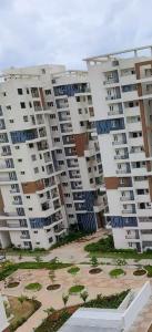 Honer Vivantis Resale 8 Flats For Resale In Honer Vivantis Gachibowli Hyderabad