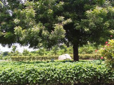 Residential land / Plot for sale in Aparna Western Meadows Mokila