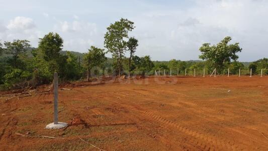 Agriculture Land For Sale In Raigad Farm Land For Sale In Raigad Agriculture Land For Sale In Raigad Farm Land For Sale In Raigad