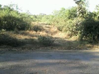 Residential land / Plot for sale in Dodamarg Sindhudurg - 776 Sq. Yard.