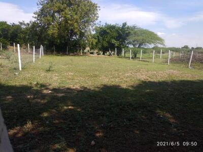 Agriculture land for sale in Shamshabad, Hyderabad - Farm land for sale