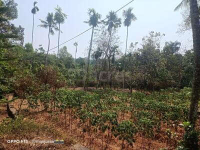 Residential land / Plot for sale in Pallikkara Kochi - 3 Sq. Yard.