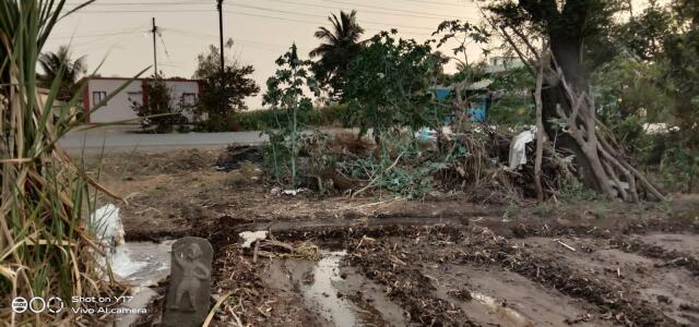 Agriculture / Farm land for rent in Markal Pune 1452 Sq Yard