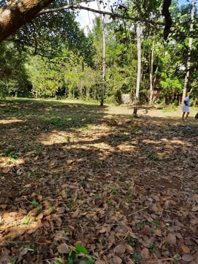 East Facing Plots in Vellangallur, Thrissur - 2+ East Facing Land ...