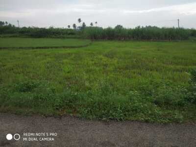 Agriculture / Farm land for sale in Thiruthani Chennai North - 4840 Sq ...