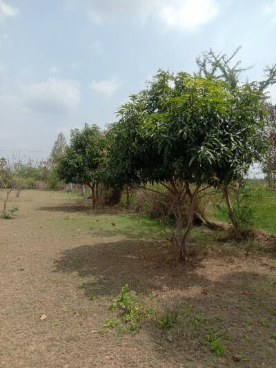 Agriculture / Farm land for sale in Tindivanam Villupuram - 7405 Sq. Yard.