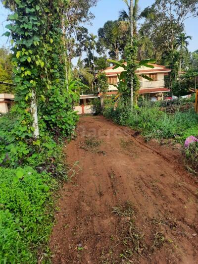 Land For Sale In Pune Below 10 Lakhs Residential land in Manakunnam Ernakulam from 5 lakhs to 10 lakhs