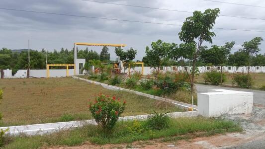 Residential Land   Plot For Sale In Srikalahasti Chittoor - 150 Sq. Yard.