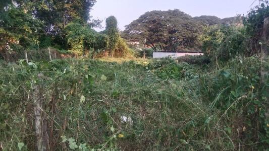 East Facing Plots in Kavilpad Palakkad - East Facing Land / Plots for ...