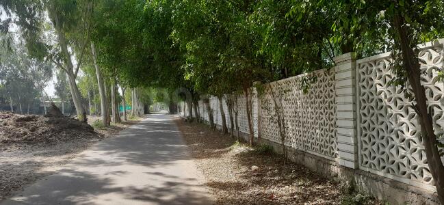 4 BHK Farm House For Sale In Dkrrish Green Beauty Farms Sector 135 ...