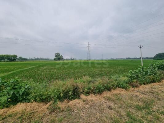 Agriculture land for sale in Sariyawan Ayodhya - Farm land for sale in ...