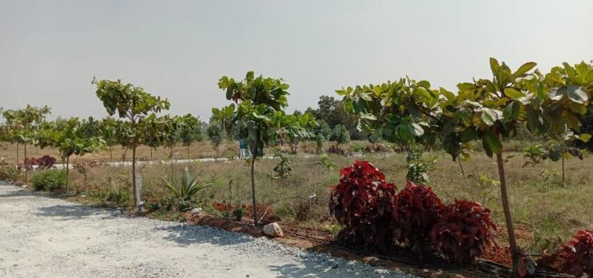 Mathigiri Plots for sale in Mathigiri Krishnagiri - 3+ Residential Land / Plots ...