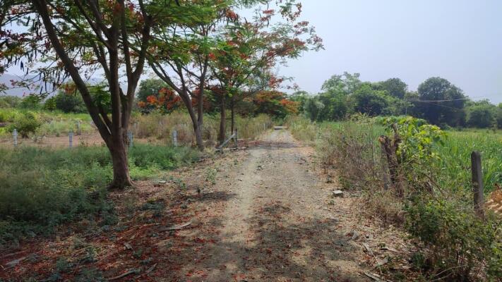 Residential land / Plot for sale in Kasarsai Pune - 500 Sq. Yard.