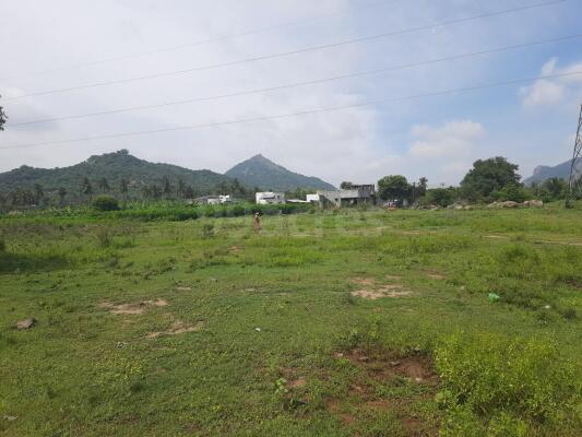 East Facing Plots in Mallur Salem - 1+ East Facing Land / Plots for ...