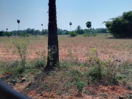 Agriculture / Farm land for sale in Kunnathur Tirupur - 17618 Sq. Yard.