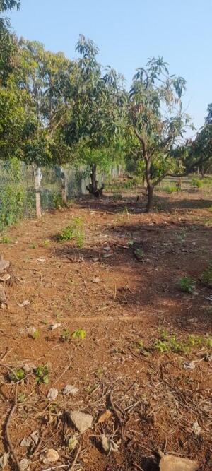 Residential land / Plot for sale in Panvel Navi Mumbai - 2420 Sq. Yard.