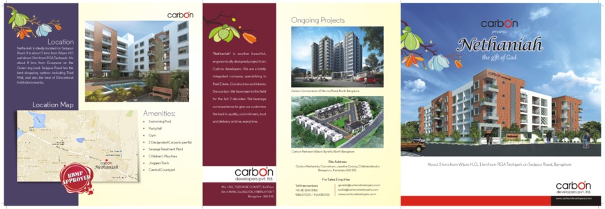 Carbon Nethaniah Brochure
