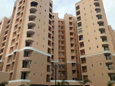 3bhk Apartments In Ernakulam 64 3bhk Apartments For Sale In Ernakulam